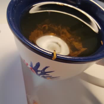 Lüks Çayda Şok Edici Kurt Sürprizi