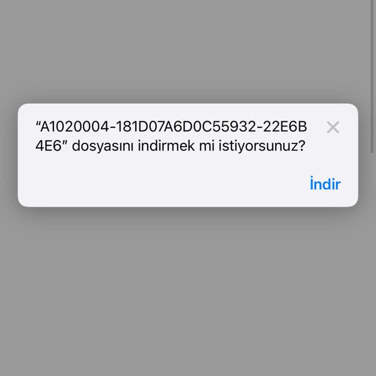 Kapanan Mağaza Ve Kayıp Siparişin Gizemi