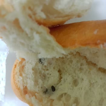 Halk Ekmek Büfesinde Sağlık Tehlikesi: Fare Dışkısı Şoku