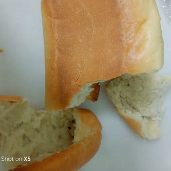 Halk Ekmek Büfesinde Sağlık Tehlikesi: Fare Dışkısı Şoku