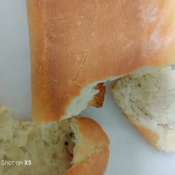 Halk Ekmek Büfesinde Sağlık Tehlikesi: Fare Dışkısı Şoku