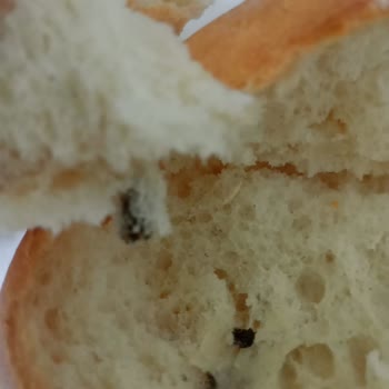 Halk Ekmek Büfesinde Sağlık Tehlikesi: Fare Dışkısı Şoku