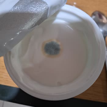 Küflü Nilky Probiyo Hayal Kırıklığı