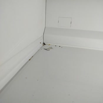 Eşyalarımın Taşınmasında Büyük Hayal Kırıklığı