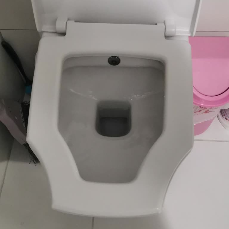 Bien Marka Klozet Kapağı Fiyatları Hakkında Şikayet