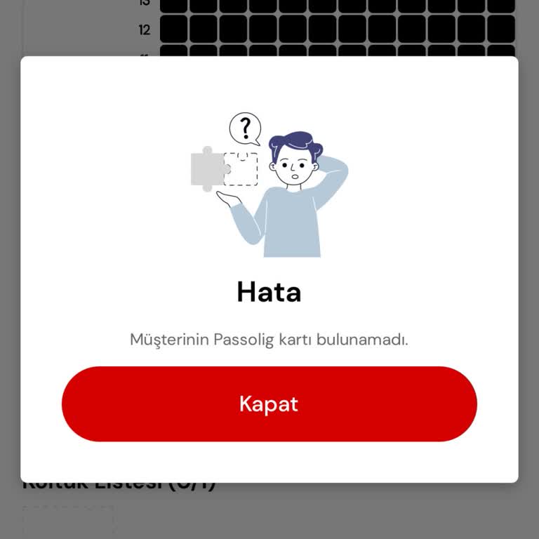 Passolig Kartım Sistemde Görünüyor Ama Maç Bileti Alamıyorum