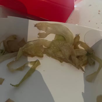McDonald's'ta Taze Olmayan Malzeme Sorunu