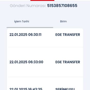Kayıp Kargo: Aras Kargo'da Şüpheli Gecikme Ve İletişim Sorunları