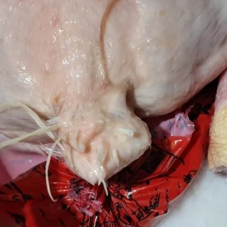 Tüyleri Alınmamış Tavuk Şikayeti