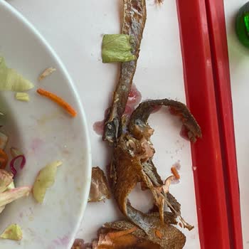 Cevahir AVM'de Hayal Kırıklığı: Somon Balıklı Izgara Salatası Deneyimi