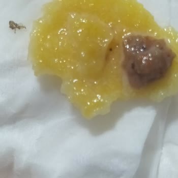 Kelly's Mısır Gevreklerinde Şok Edici Sorunlar