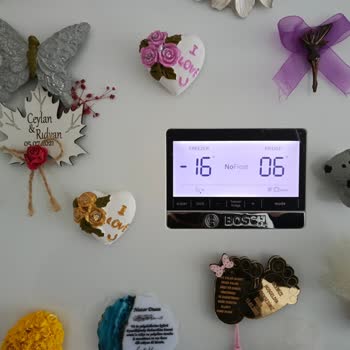 Bosch Buzdolabı Hayal Kırıklığı: Yiyecekler Bozuluyor