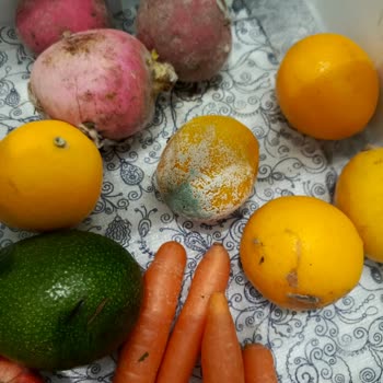 Bosch Buzdolabı Hayal Kırıklığı: Yiyecekler Bozuluyor