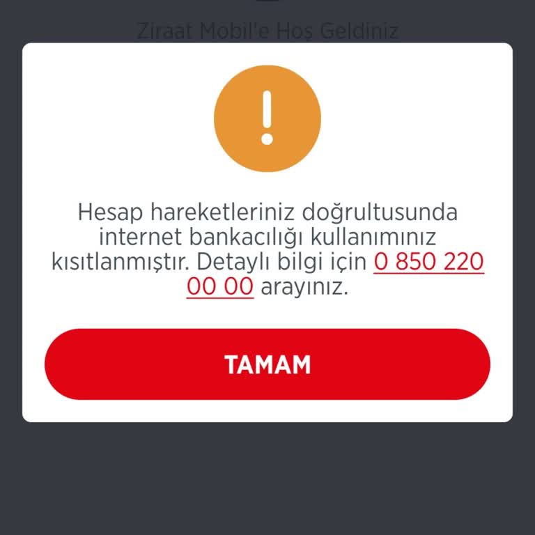 Ziraat Bankası Mobil Uygulama Erişim Sorunu