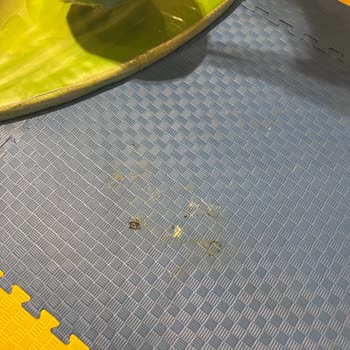 Playland Hijyen Ve Güvenlik Sorunları