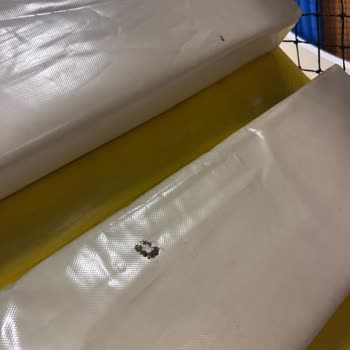 Playland Hijyen Ve Güvenlik Sorunları