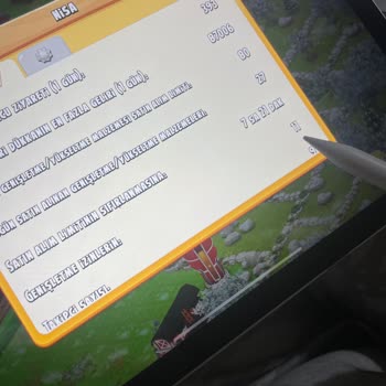 Hay Day Genişletme İzni Sorunuyla Karşılaştım