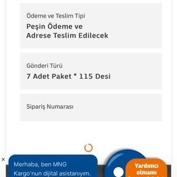 Kayıp Ürün: MNG Kargo'da Merzifon'da Takılı Kalan Paket