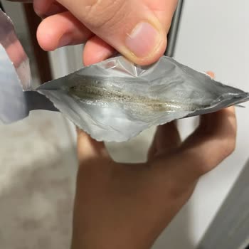 Bozuk Çıkan Maskeler İçin Hayal Kırıklığı