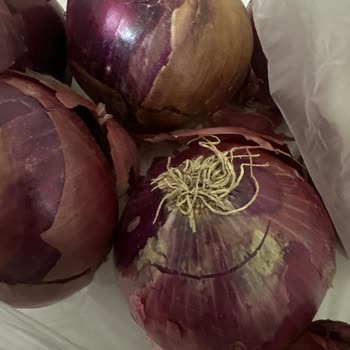 Migros Hemen'den Gelen Bozuk Ürünler Ve İlgisizlik