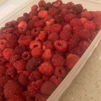 Metro Chef Dondurulmuş Frambuazda Hijyen Sorunu