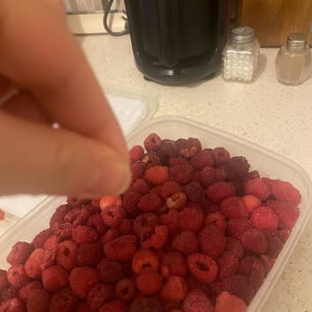 Metro Chef Dondurulmuş Frambuazda Hijyen Sorunu