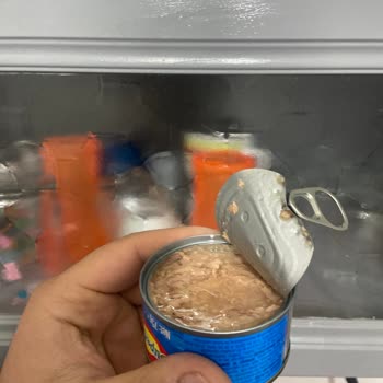 Bozuk Ton Balığı: Sağlığımız Tehlikede