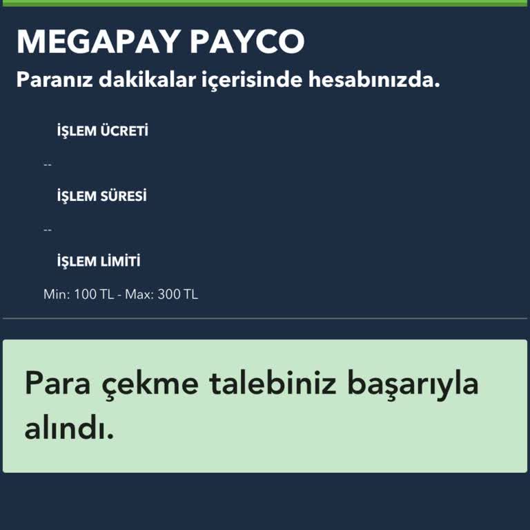 Para Transferi Sorunu: Mağduriyet Ve Çözüm Arayışı