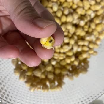 Migros'ta Ürün Kalitesi ve Müşteri Hizmeti Sorunu