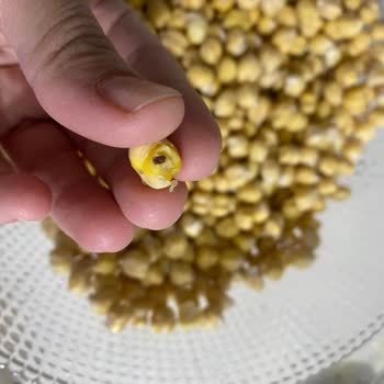 Migros'ta Ürün Kalitesi ve Müşteri Hizmeti Sorunu