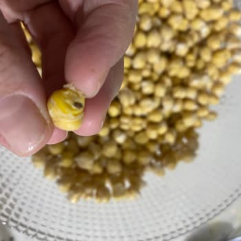 Migros'ta Ürün Kalitesi ve Müşteri Hizmeti Sorunu