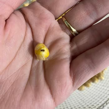 Migros'ta Ürün Kalitesi ve Müşteri Hizmeti Sorunu