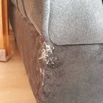 Taşpınar Mağazası'ndan Aldığım Kanepe Takımındaki Sorunlar Ve İlgisizlik