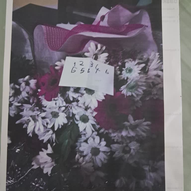 Yazıcıda Renk Sorunu: Sarı Yerine Pembe Baskı