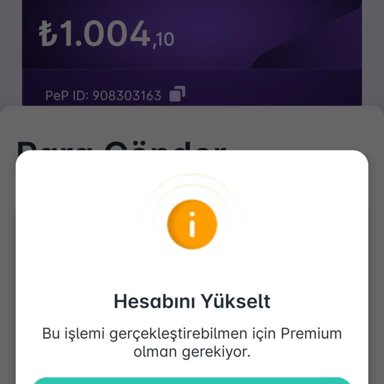 Kimlik Doğrulama Ve Para Transferinde Sürekli Sorun