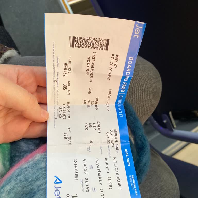 Anadolu Jet'te Bagaj Sorunu Ve Hakaret İddiası