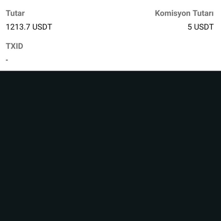 Bitci Kripto Borsasında USDT Çekim İşlemi Sorunu