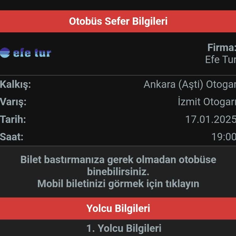 Efe Tur İle Yolculuk Kabusa Döndü: Gecikmeler Ve Arızalarla Dolu Bir Deneyim