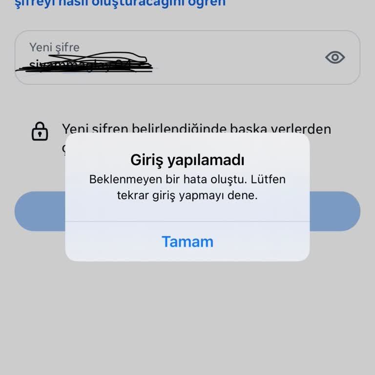 Instagram Hesabıma Erişemiyorum: Acil Yardım Gerekli!