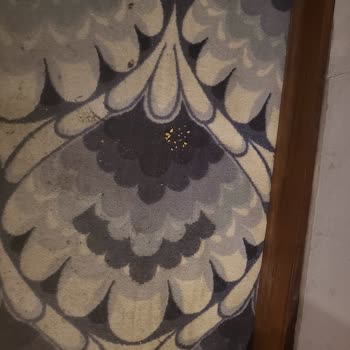 Müşteri Haklarının Yok Sayıldığı Kötü Deneyim