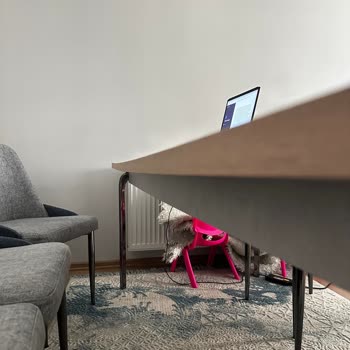 Mondi Home Ürünleri Ve Hizmet Kalitesi Sorunu