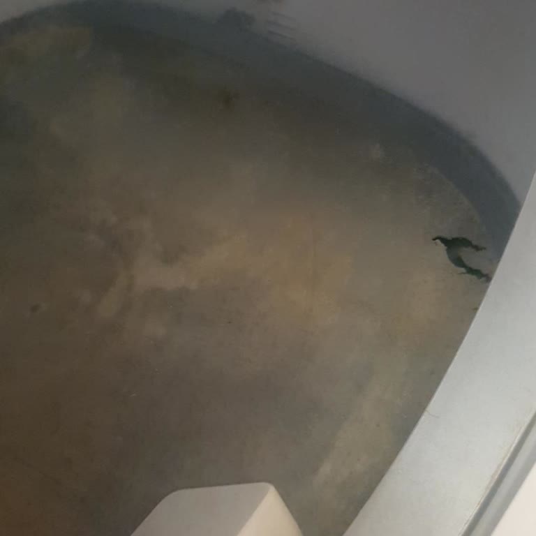 Yasomi Kedi Tuvaleti: Müşteri Hizmetleri Ve Ürün Kalitesi Hayal Kırıklığı