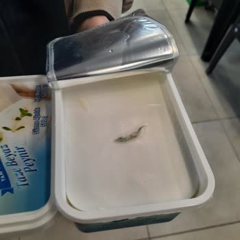 Küflü Peynir Sorunu Ve Mağaza Şikayeti