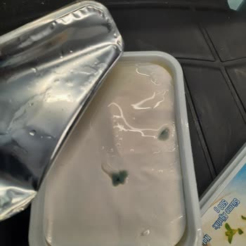 Küflü Peynir Sorunu Ve Mağaza Şikayeti