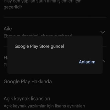Yeni Telefonumda Netflix Oyun İndirme Sorunu