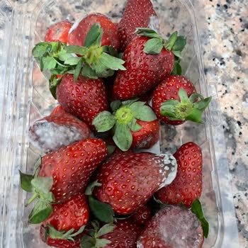 Sanal Marketten Gelen Çürük Çilekler Ve İlgisiz Hizmet