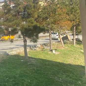 Nişantaşı Sokak'ta Çöp Sorunu Ve Zabıta Eksikliği