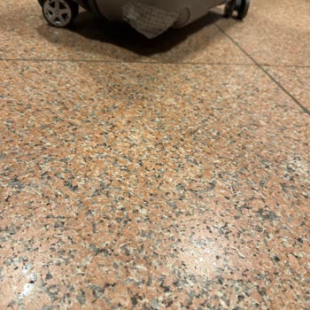 Pegasus Hamburg Uçuşunda Valiz Kırılması ve İletişim Sorunu