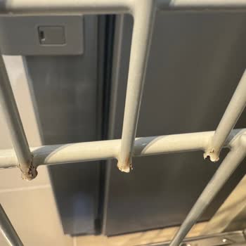 Miele Bulaşık Makinesinde Beklenmedik Paslanma Sorunu