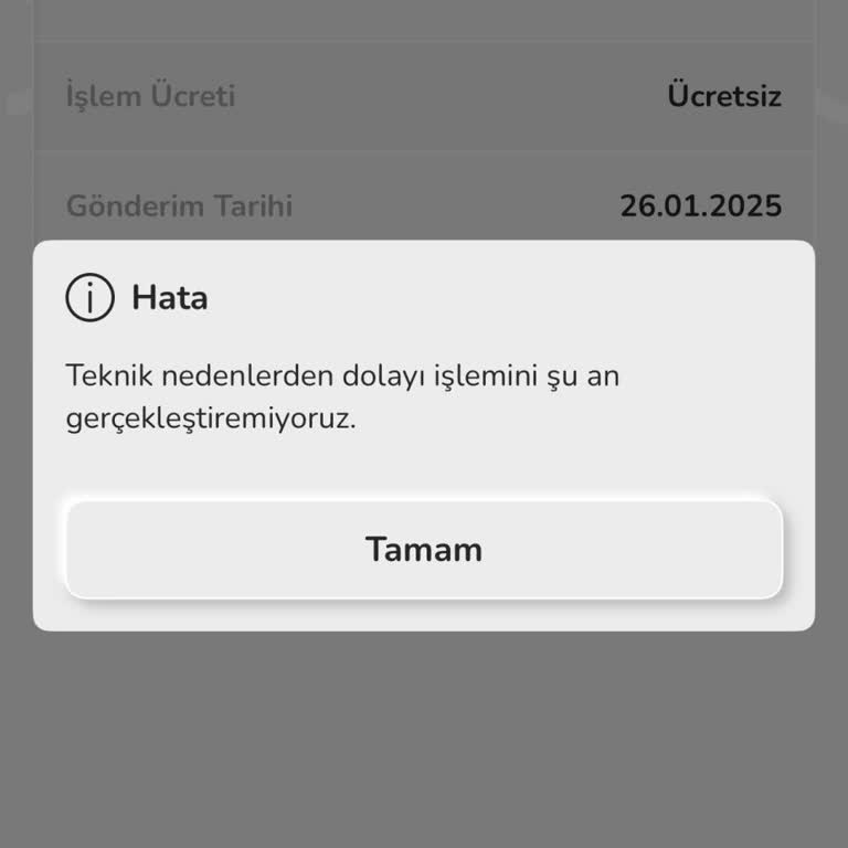 İş Bankası Nays'ta Para Transferi Sorunu